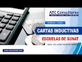 SEMINARIO CARTAS INDUCTIVAS DE SUNAT - 3 HORAS