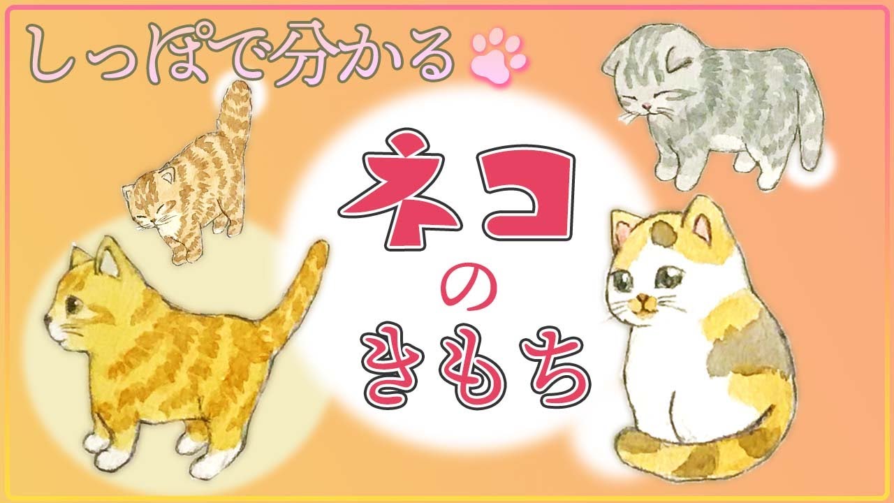 可愛いネコの描き方 尻尾の描き方 簡単イラスト講座 Youtube
