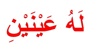 منهج جلين دومان لتعليم القران الكريم - سورة البلد الجزء 2