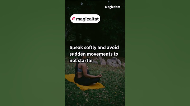 gnomes Q&A check my tiktok @magicaltat