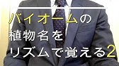 高校生物基礎 バイオームの植物名をリズムで覚える Youtube