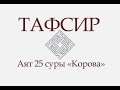 ТАФСИР КОРАНА. Аят 25 суры «Корова»: «И обрадуй тех, которые уверовали и творили благое...»