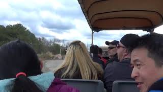 Six Flags Great Adventure   Safari Off Road Adventure