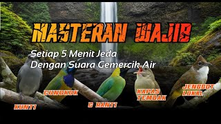 MASTERAN MURAI ISIAN TEMBAKAN KASAR MEWAH ( CUNGKOK-C RANTI-KATEM-JENGGOT-KUNTI )