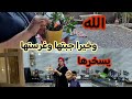 رتين من الصباح حتا المساء طيبت الخبز ديال الزيت فرحو بيه والدي شمو ريحتو من 44 الروز بالطريقة 