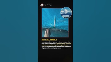 Clear Ice vs. Cloudy Ice: What’s the Real Difference? #factshorts #shortsfeed #viralshorts #ice