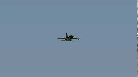 [Aerobatic Maneuver ]4 Points Roll
