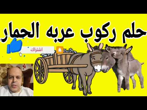 تفسير رؤية ركوب عربه الحمار في المنام محمود منصور  