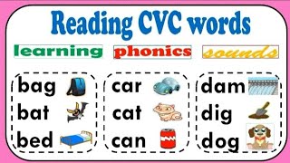 Reading CVC Words || Reading CVC Words for Kindergarten || Grades 1 & 2 || English Reading Practice