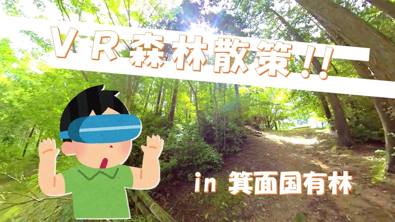 VR森林散策 箕面国有林 - YouTube