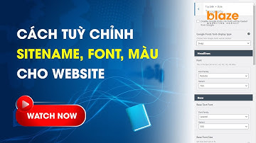 Tuỳ chỉnh theme sitename, favicon, logo, font chữ, màu sắc,... trong Wordpress