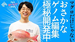 【解説】マッチョ鯛、倍速成長フグ…魚不足を救う「ゲノム編集技術」で、日本が世界を圧倒していた（リージョナルフィッシュ／梅川忠典／近大マグロ）