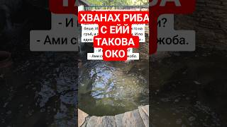 СМЯХ РИБАР