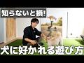 【犬に好かれる遊び方】愛犬が飼い主に夢中になる遊び方｜やってはいけないNG行動も解説！