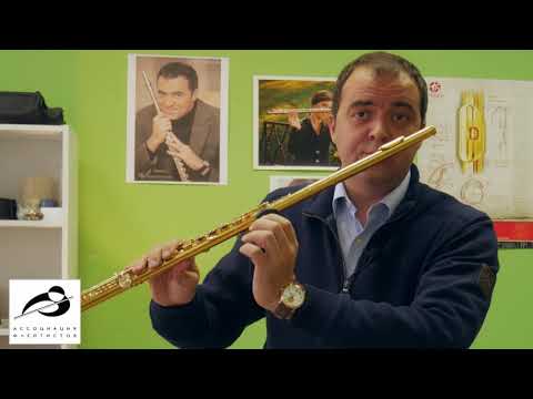 Уроки игры на поперечной флейте для начинающих видео уроки