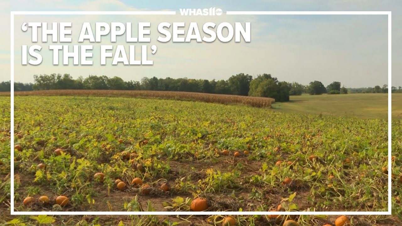 This family-owned orchard has been an apple-picking staple in Kentucky for over a decade