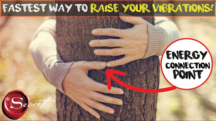 Most Powerful and Unexpected Way to Raise Your Vibrations Through Tree Hugging | Law of Attraction