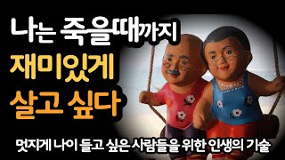 나는 죽을때까지 재미있게 살고싶다 / 멋지게 나이들고 싶은 사람들을 위한 인생기술