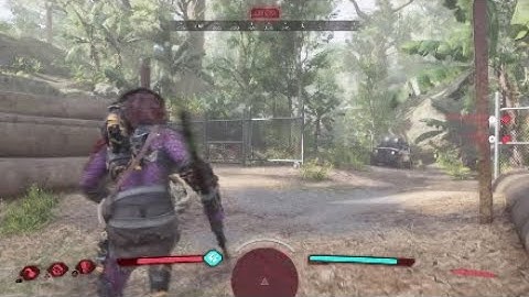 Predator Hunting Grounds: The art of the stealth kill