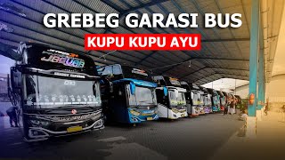 GREBEK GARASI BUS PARIWASATA KUPU KUPU AYU !!! | Bus PARIWISATA Asli Asal PURWOKERTO.