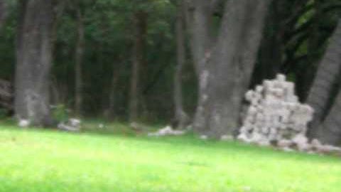 proto slg 08 psp ramping