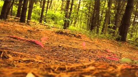 EasyFeet EF-02 (Recorrido Out Door)