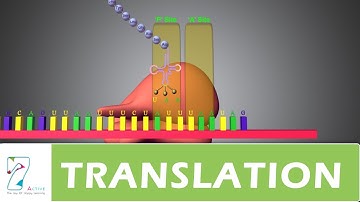 TRANSLATION _ PART 02