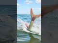 #mermaid