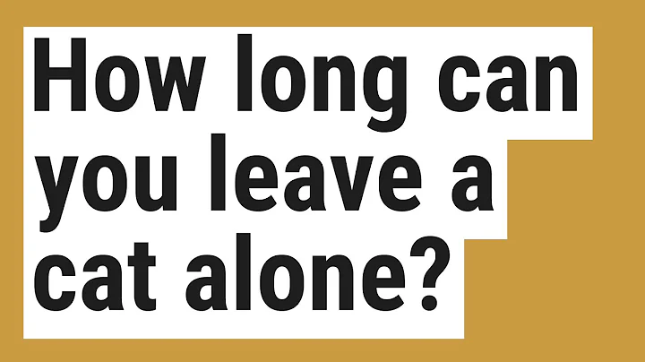 How long can you leave a cat alone?