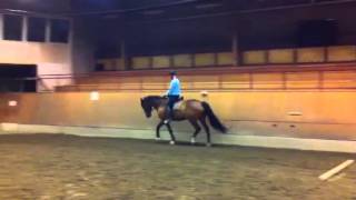 Calgari 20130401