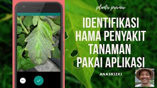 Cara menggunakan Plantix Preview, aplikasi identifikasi Hama / Penyakit screenshot 1