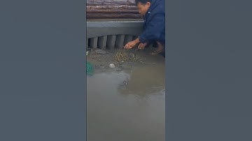 Cleaning Trash and plastic Clogged Culvert drain #shorts #cleaning #real