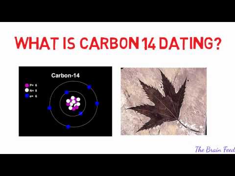 11 year old boy destroys carbon dating and polonium halos in granite prove instant creation. from YouTube · Duration: 8 minutes 58 seconds 11 year old boy destroys carbon dating and polonium halos in granite prove instant creation. from YouTube · Duration: 8 minutes 58 seconds