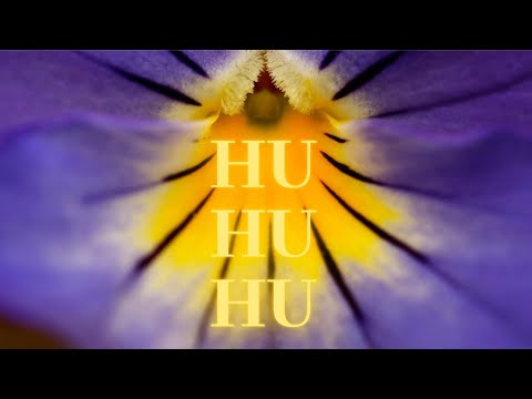 Powerful HU Chanting @963 Hz