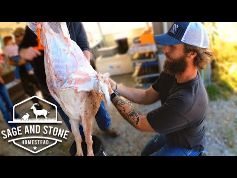 Why We Eat The Animals We Love | Goat Processing Day