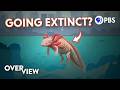 Axolotl Conservation and Xochimilco's Ecosystem