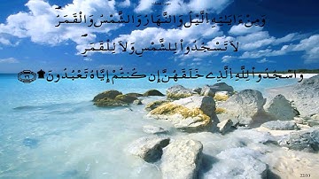 سورة فصلت * قالون * الحصري
