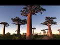 Madagascar: A Country Full Of Breathtaking Nature | Somewhere On Earth