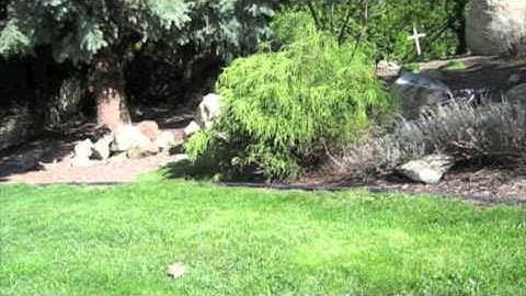 TRAXXAS Slash Mike Jenkins