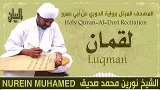 الشيخ نورين محمد صديق سورة لقمان  Sheikh || Nourin Mohamed Siddig ||Surah Luqman