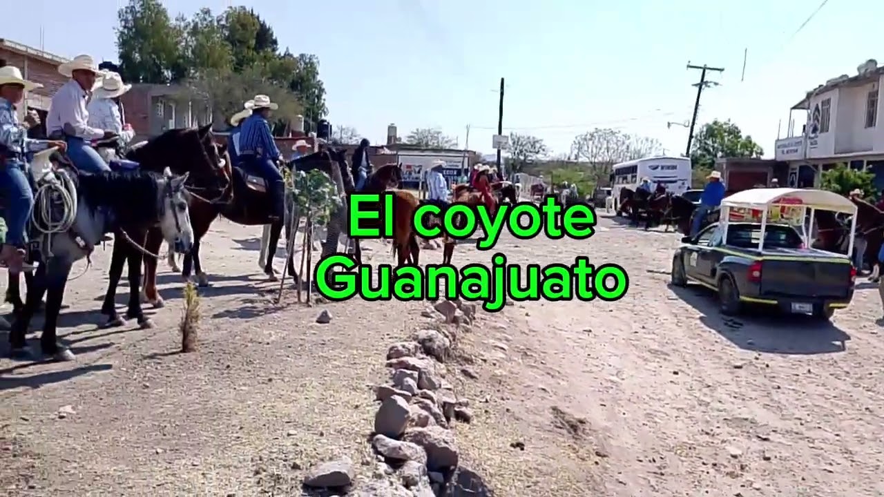 Tradicional cabalgata al coyote Guanajuato 