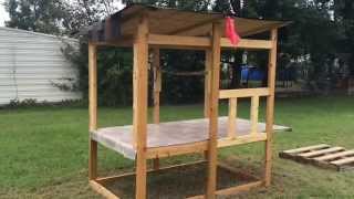 chicken build coop