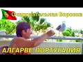 ОЧАРОВАТЕЛЬНАЯ ВОРОВКА 🐦 АЛГАРВЕ ПОРТУГАЛИЯ