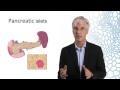 Lecture 27 simultaneous kidney pancreas  islet transplantation