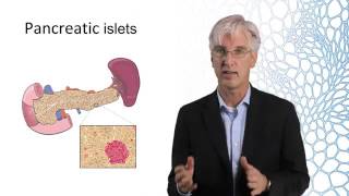 Lecture 2-7: Simultaneous kidney pancreas & islet transplantation