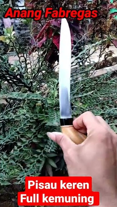 Pisau keren ,model badik full kemuning