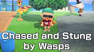 Chased And Stung By Wasps