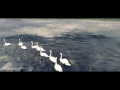 Chernobyl Drone Swan Lake - ЧАЭС Лебединое озеро