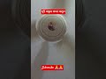 দুই বন্ধুর কথা,আবু ত্বহা আদনান হুজুরের