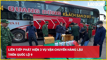 Liên tiếp phát hiện 3 vụ vận chuyển hàng lậu trên Quốc lộ 9| Báo Lao Động